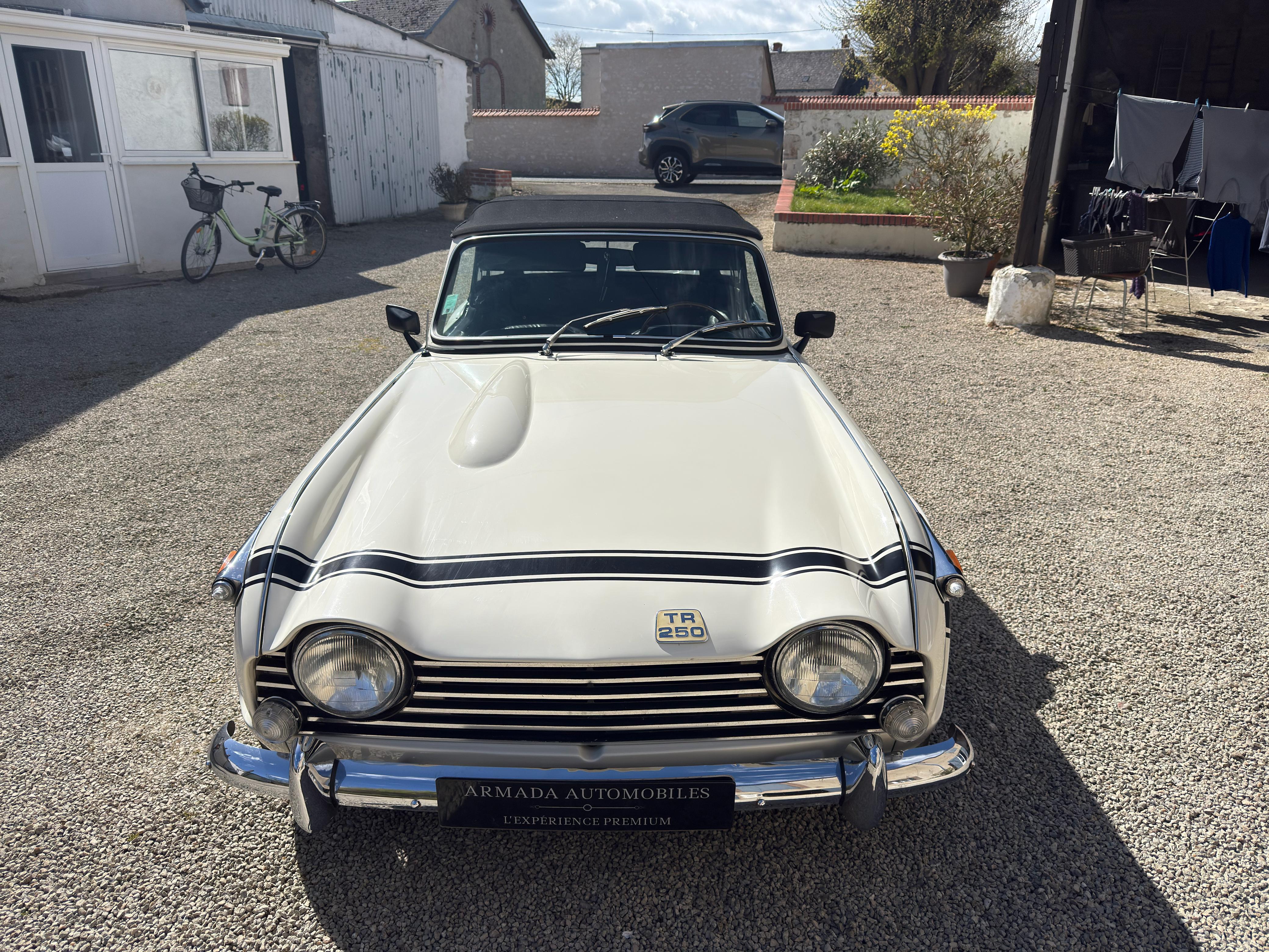 Triumph TR 250 Overdrive cabriolet blanc - Armada Automobiles Pithiviers