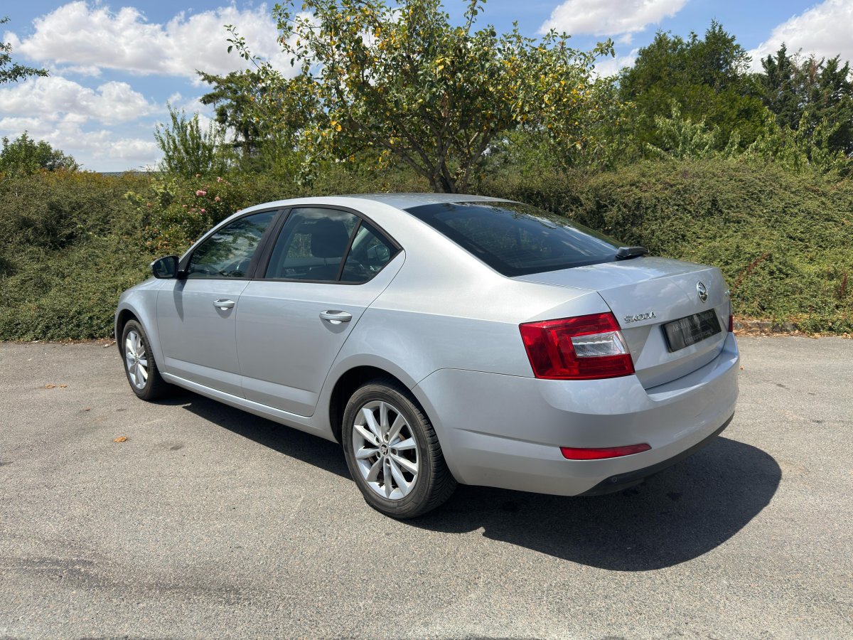 Skoda Octavia 1.6 TDI 105 Active gris - Armada Automobiles Pithiviers